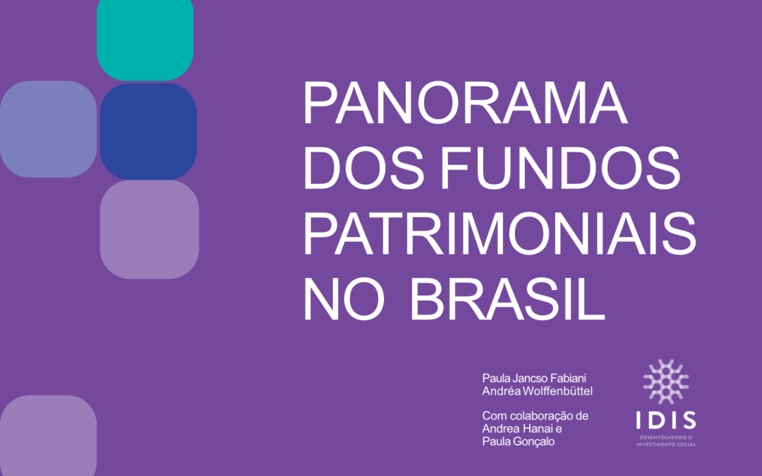Panorama dos Fundos Patrimoniais no Brasil: sustentabilidade financeira para causas de interesse público