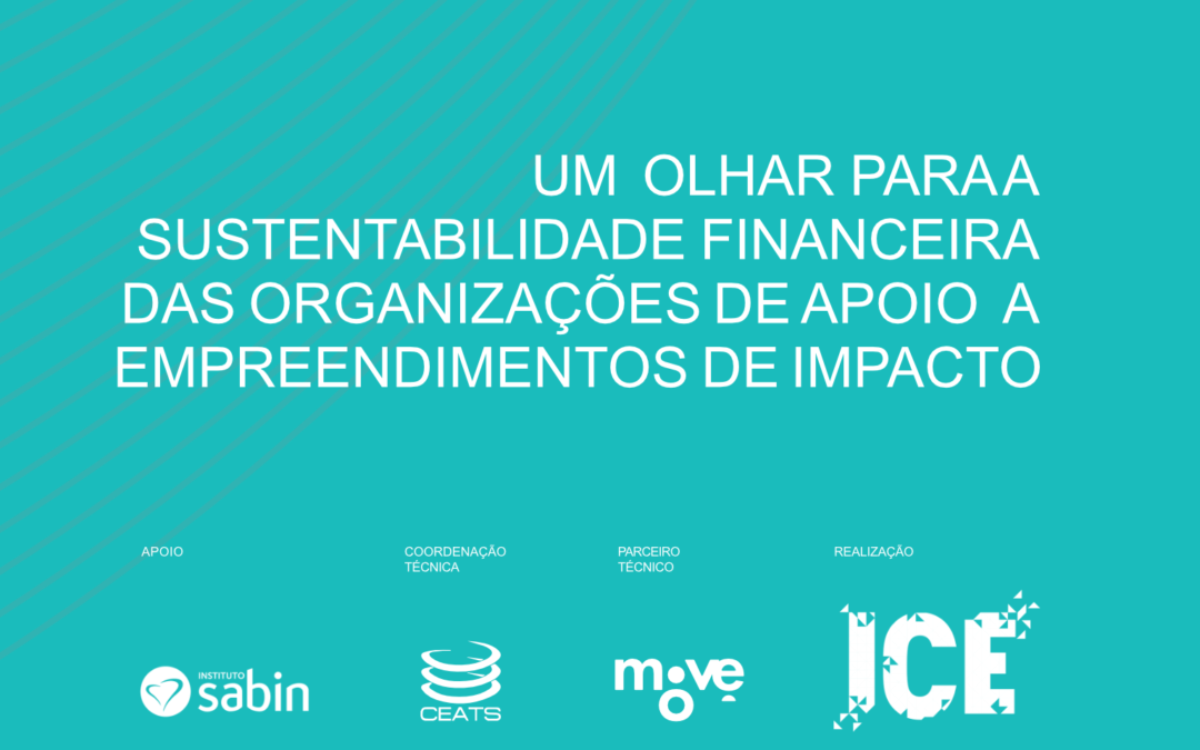 Sustentabilidade financeira: caminhos para fortalecer organizações de apoio a empreendimentos de impacto