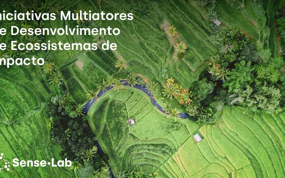 Estudo sobre Iniciativas Multiatores para o Desenvolvimento de Ecossistemas de Impacto
