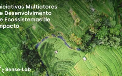 Estudo sobre Iniciativas Multiatores para o Desenvolvimento de Ecossistemas de Impacto